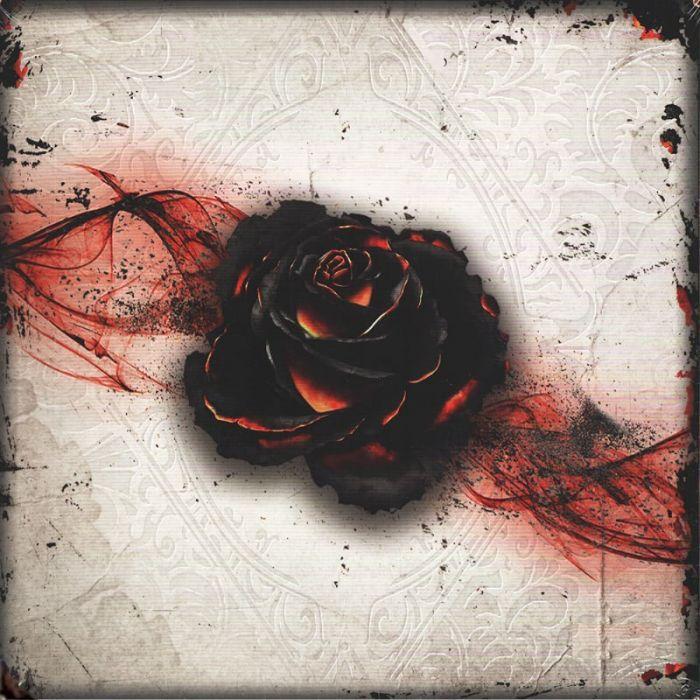 Black Rose Wars cover
