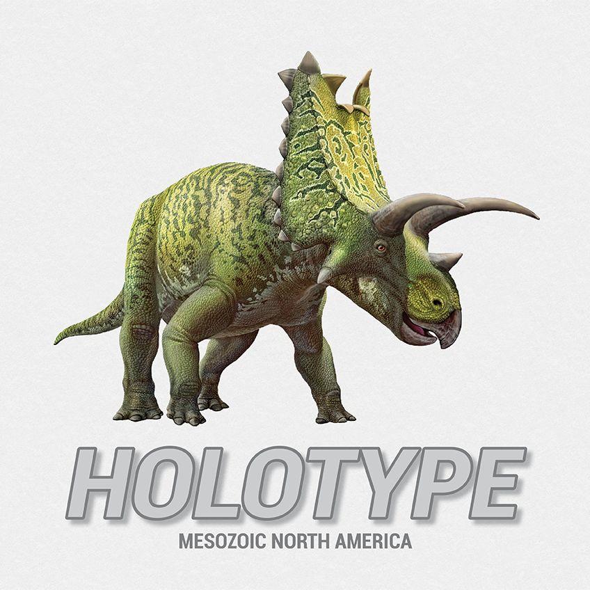 Holotype: Mesozoic North America cover