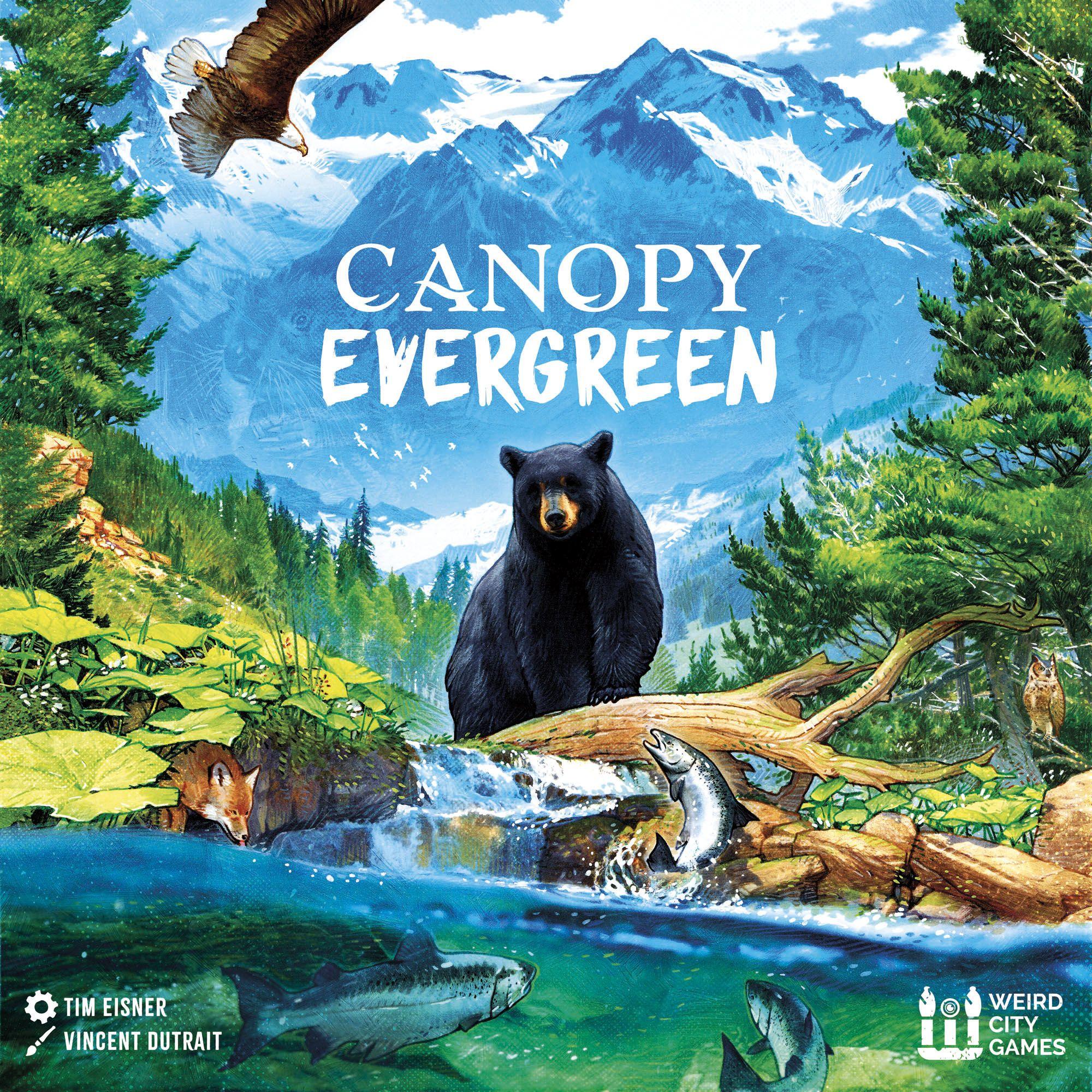 Canopy: Evergreen cover