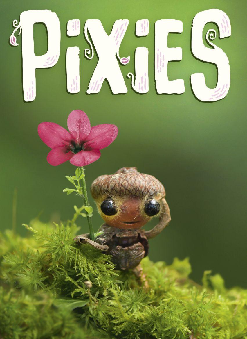 Pixies cover