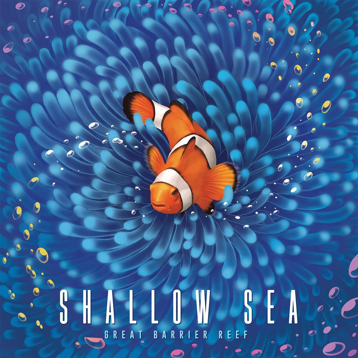 Shallow Sea cover